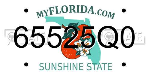 65525Q0 Florida License Plate