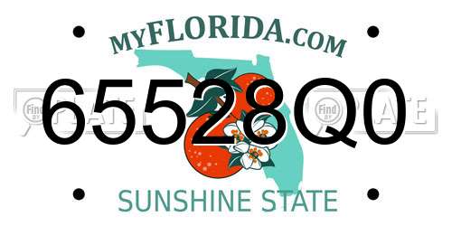 65528Q0 Florida License Plate