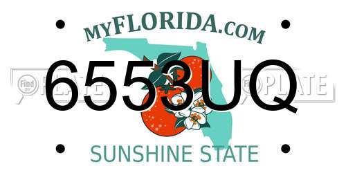 6553UQ Florida License Plate