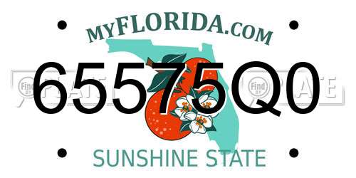 65575Q0 Florida License Plate