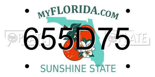 655D75 Florida License Plate