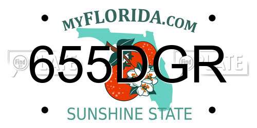 655DGR Florida License Plate