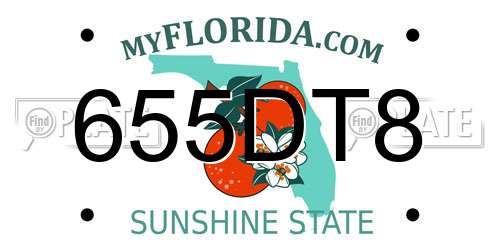 655DT8 Florida License Plate