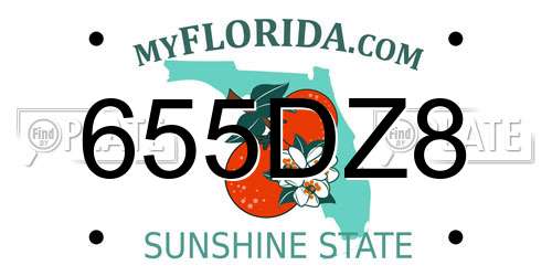 655DZ8 Florida License Plate