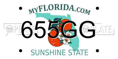655GG Florida License Plate
