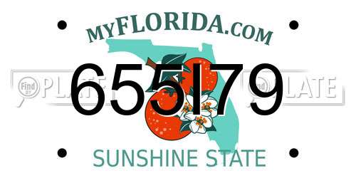 655I79 Florida License Plate