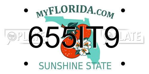 655IT9 Florida License Plate