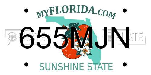 655MJN Florida License Plate