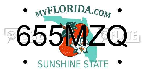 655MZQ Florida License Plate