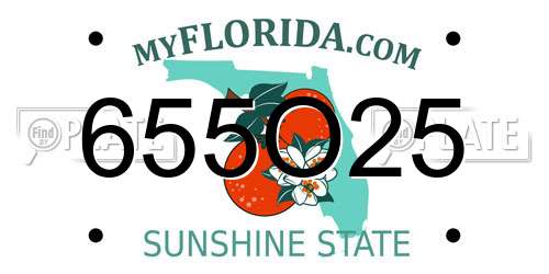 655O25 Florida License Plate