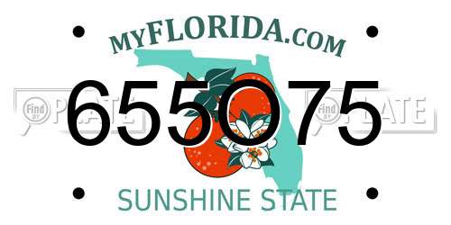 655O75 Florida License Plate