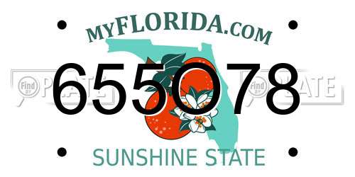 655O78 Florida License Plate