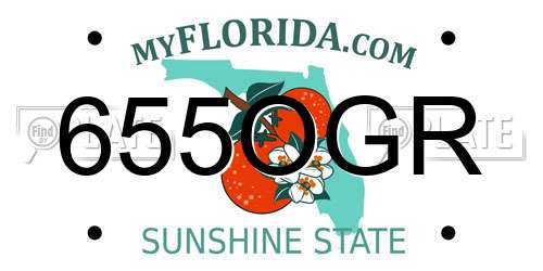 655OGR Florida License Plate