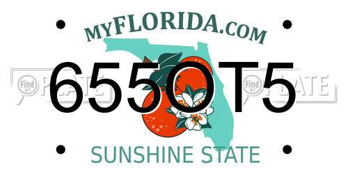 655OT5 Florida License Plate