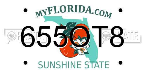 655OT8 Florida License Plate