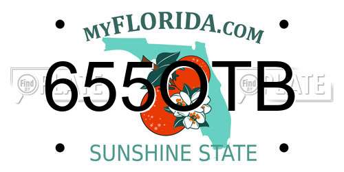 655OTB Florida License Plate