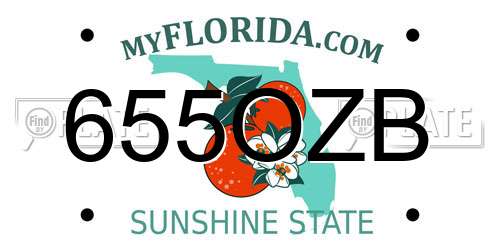 655OZB Florida License Plate