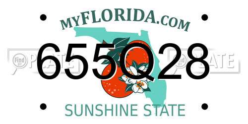 655Q28 Florida License Plate