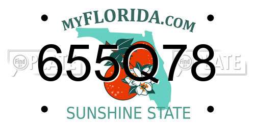 655Q78 Florida License Plate