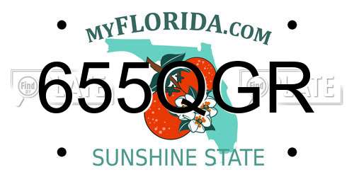 655QGR Florida License Plate