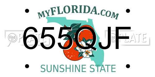 655QJF Florida License Plate