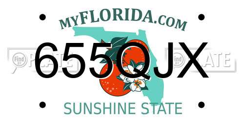 655QJX Florida License Plate