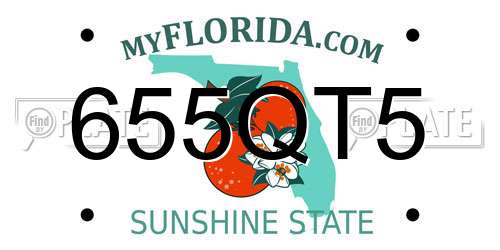 655QT5 Florida License Plate