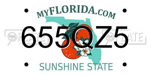 655QZ5 Florida License Plate