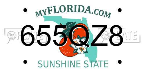 655QZ8 Florida License Plate