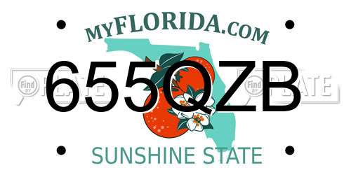 655QZB Florida License Plate