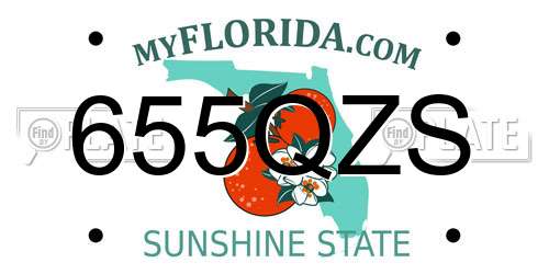 655QZS Florida License Plate