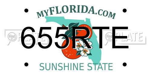 655RTE Florida License Plate