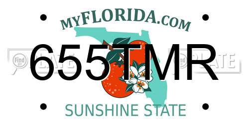 655TMR Florida License Plate