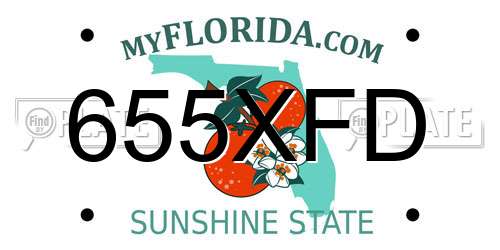 655XFD Florida License Plate