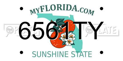 6561TY Florida License Plate