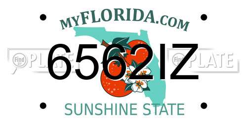 6562IZ Florida License Plate