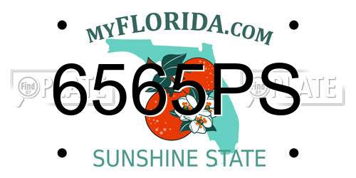 6565PS Florida License Plate
