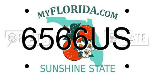 6566US Florida License Plate