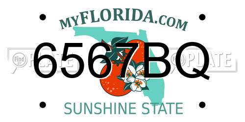 6567BQ Florida License Plate