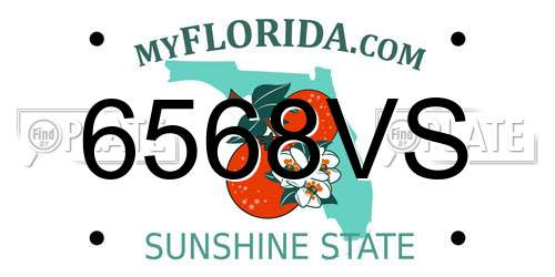 6568VS Florida License Plate