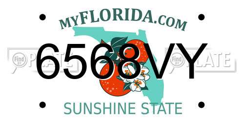 6568VY Florida License Plate