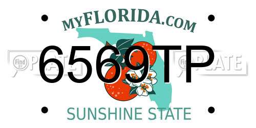 6569TP Florida License Plate