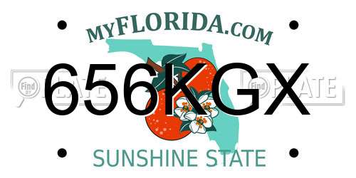 656KGX Florida License Plate