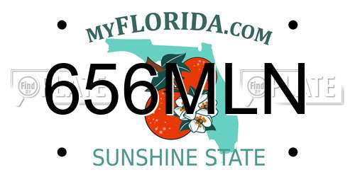 656MLN Florida License Plate