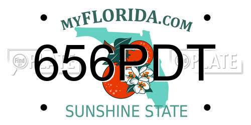 656PDT Florida License Plate