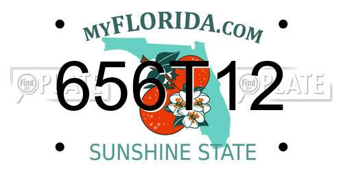 656T12 Florida License Plate