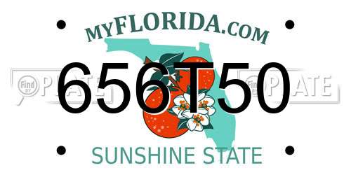 656T50 Florida License Plate