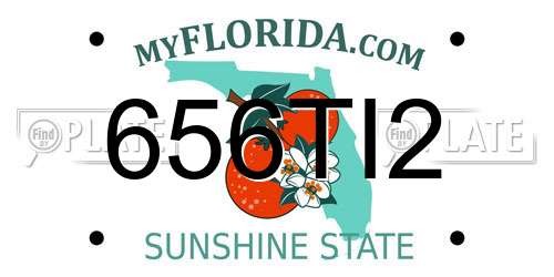 656TI2 Florida License Plate
