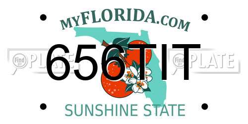656TIT Florida License Plate