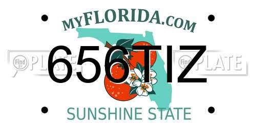 656TIZ Florida License Plate
